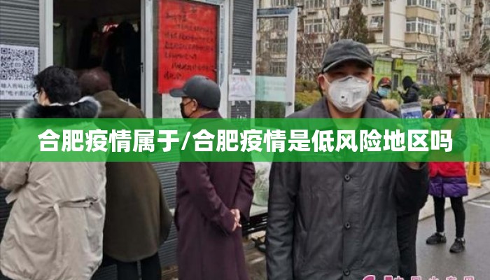 合肥疫情属于/合肥疫情是低风险地区吗