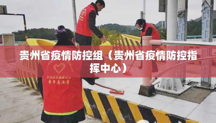 贵州省疫情防控组（贵州省疫情防控指挥中心）