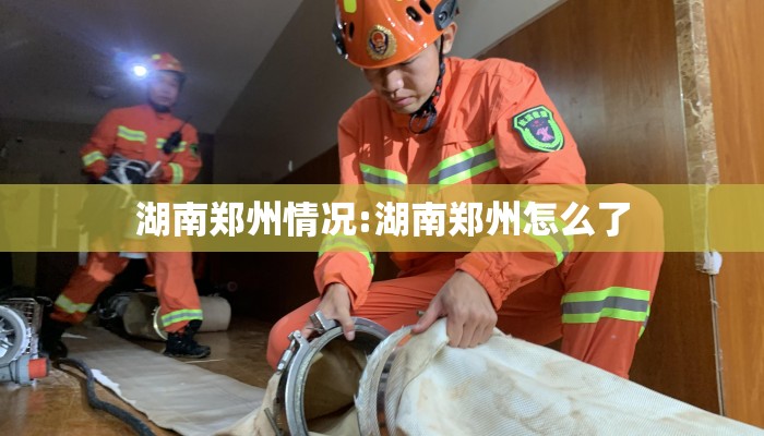 湖南郑州情况:湖南郑州怎么了