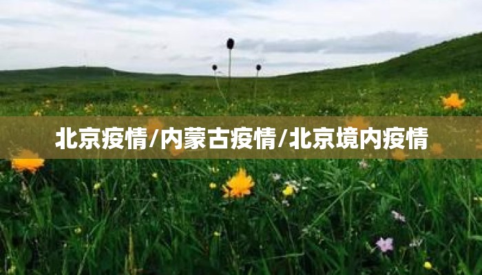 北京疫情/内蒙古疫情/北京境内疫情