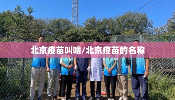 北京疫苗叫啥/北京疫苗的名称
