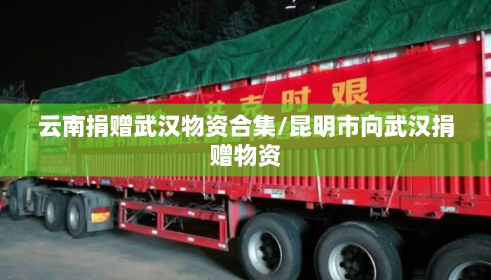 云南捐赠武汉物资合集/昆明市向武汉捐赠物资