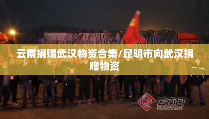 云南捐赠武汉物资合集/昆明市向武汉捐赠物资