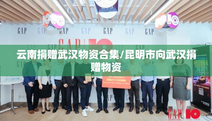 云南捐赠武汉物资合集/昆明市向武汉捐赠物资