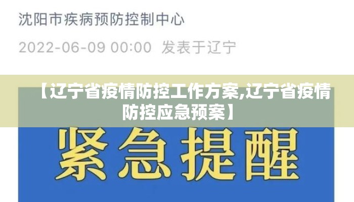 【辽宁省疫情防控工作方案,辽宁省疫情防控应急预案】