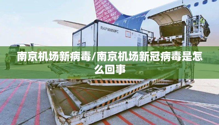 南京机场新病毒/南京机场新冠病毒是怎么回事 南京机场新病毒/南京机场新冠病毒是怎么回事