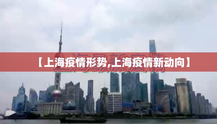 【上海疫情形势,上海疫情新动向】 【上海疫情形势,上海疫情新动向】