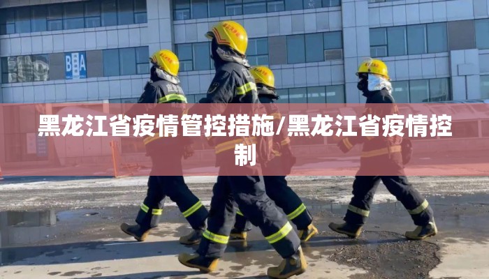 黑龙江省疫情管控措施/黑龙江省疫情控制 黑龙江省疫情管控措施/黑龙江省疫情控制