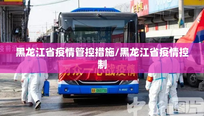 黑龙江省疫情管控措施/黑龙江省疫情控制 黑龙江省疫情管控措施/黑龙江省疫情控制