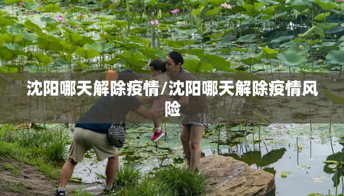 沈阳哪天解除疫情/沈阳哪天解除疫情风险