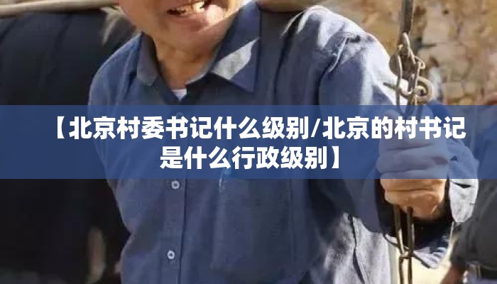 【北京村委书记什么级别/北京的村书记是什么行政级别】