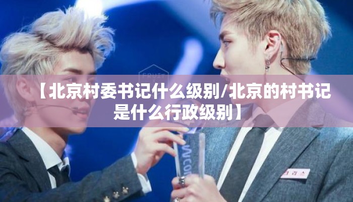 【北京村委书记什么级别/北京的村书记是什么行政级别】