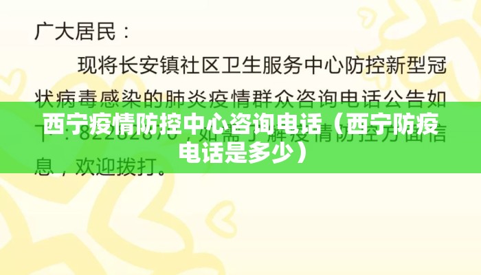 西宁疫情防控中心咨询电话(西宁防疫电话是多少) 西宁疫情防控中心咨询电话(西宁防疫电话是多少)
