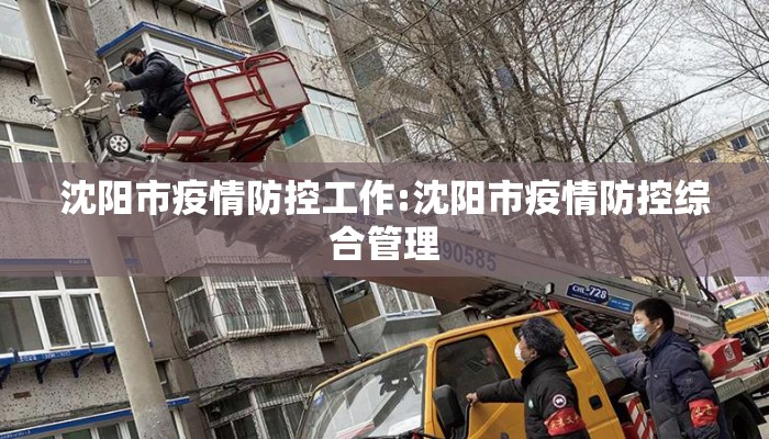 沈阳市疫情防控工作:沈阳市疫情防控综合管理