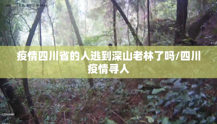 疫情四川省的人逃到深山老林了吗/四川疫情寻人 疫情四川省的人逃到深山老林了吗/四川疫情寻人