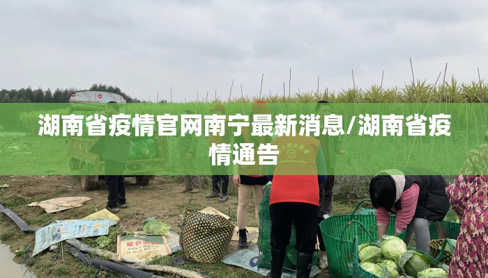 湖南省疫情官网南宁最新消息/湖南省疫情通告 湖南省疫情官网南宁最新消息/湖南省疫情通告