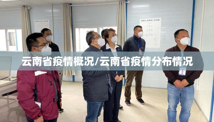 云南省疫情概况/云南省疫情分布情况