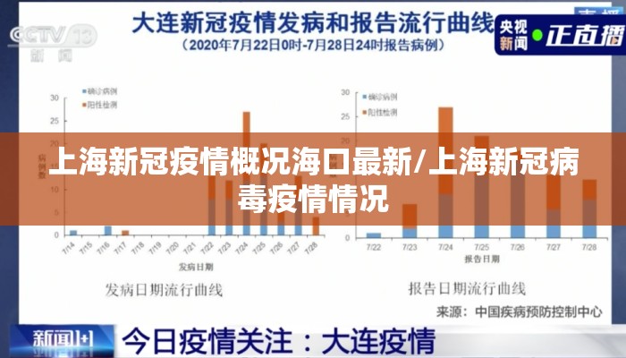 上海新冠疫情概况海口最新/上海新冠病毒疫情情况