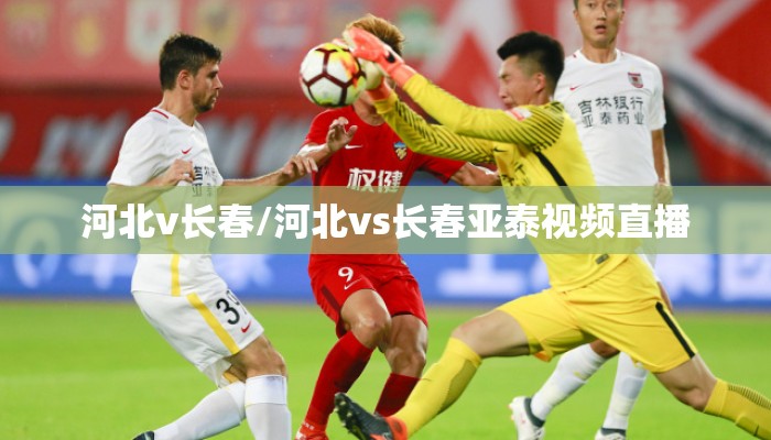 河北v长春/河北vs长春亚泰视频直播 河北v长春/河北vs长春亚泰视频直播