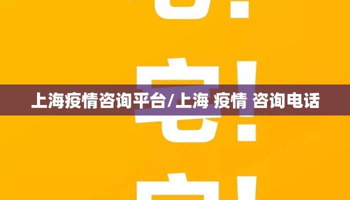 上海疫情咨询平台/上海 疫情 咨询电话