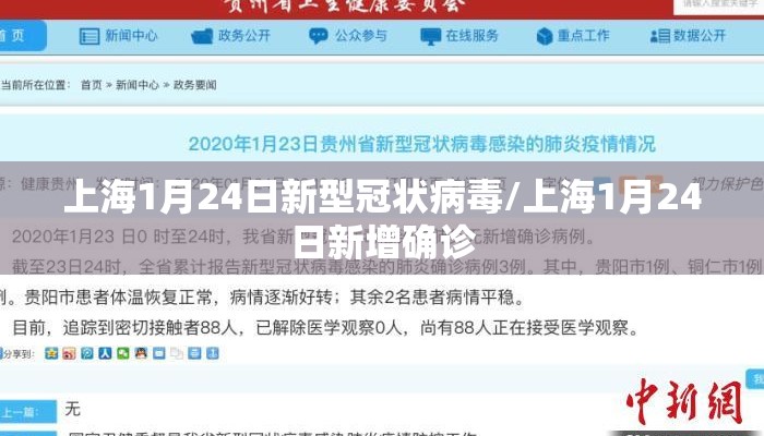 上海1月24日新型冠状病毒/上海1月24日新增确诊