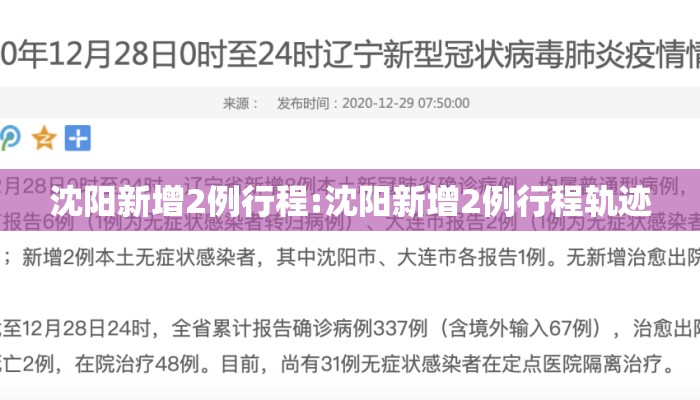沈阳新增2例行程:沈阳新增2例行程轨迹