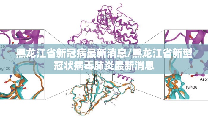 黑龙江省新冠病最新消息/黑龙江省新型冠状病毒肺炎最新消息 黑龙江省新冠病最新消息/黑龙江省新型冠状病毒肺炎最新消息