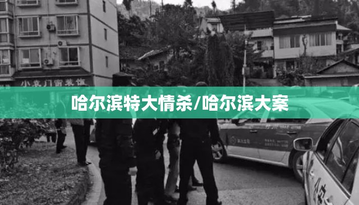 哈尔滨特大情杀/哈尔滨大案