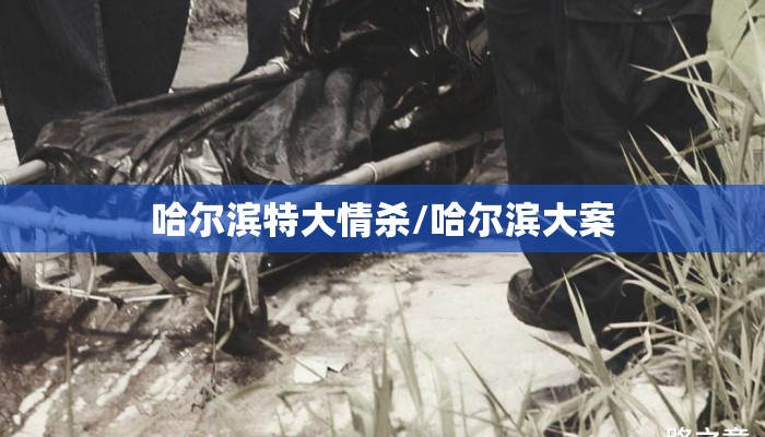 哈尔滨特大情杀/哈尔滨大案 哈尔滨特大情杀/哈尔滨大案