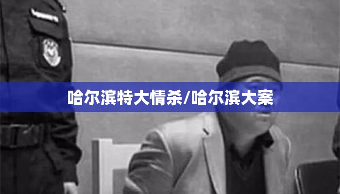 哈尔滨特大情杀/哈尔滨大案 哈尔滨特大情杀/哈尔滨大案