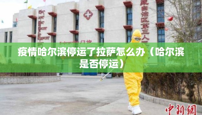 疫情哈尔滨停运了拉萨怎么办（哈尔滨是否停运）