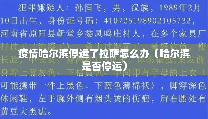 疫情哈尔滨停运了拉萨怎么办（哈尔滨是否停运）