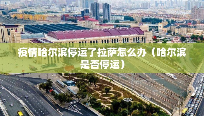 疫情哈尔滨停运了拉萨怎么办（哈尔滨是否停运）