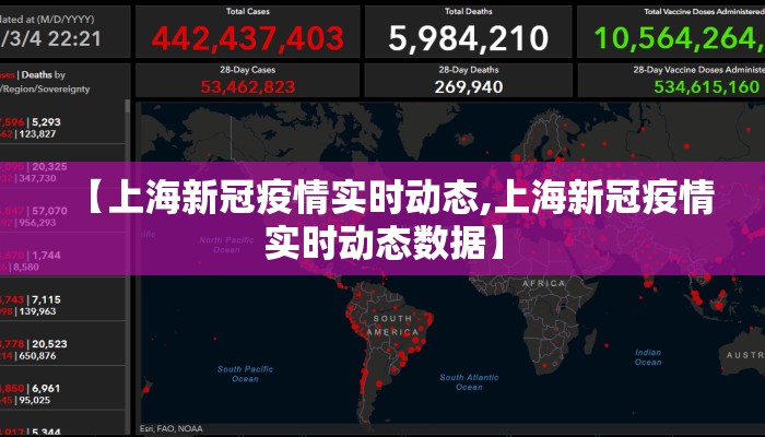 【上海新冠疫情实时动态,上海新冠疫情实时动态数据】