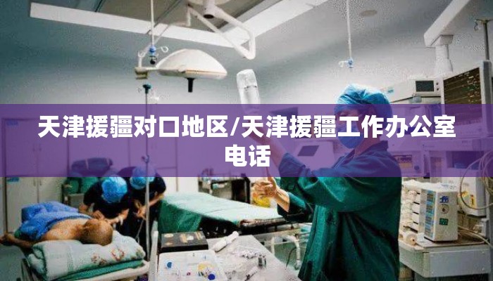 天津援疆对口地区/天津援疆工作办公室电话 天津援疆对口地区/天津援疆工作办公室电话