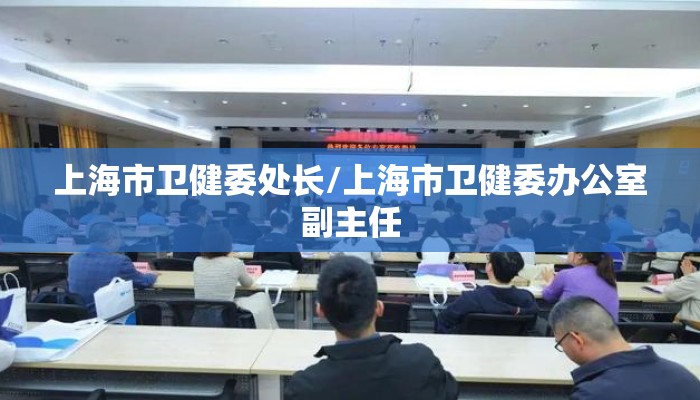 上海市卫健委处长/上海市卫健委办公室副主任 上海市卫健委处长/上海市卫健委办公室副主任
