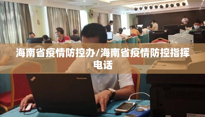 海南省疫情防控办/海南省疫情防控指挥电话