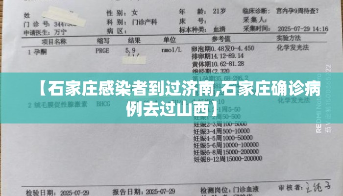 【石家庄感染者到过济南,石家庄确诊病例去过山西】 【石家庄感染者到过济南,石家庄确诊病例去过山西】