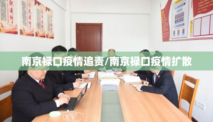 南京禄口疫情追责/南京禄口疫情扩散
