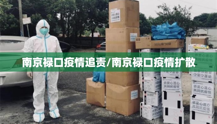 南京禄口疫情追责/南京禄口疫情扩散 南京禄口疫情追责/南京禄口疫情扩散