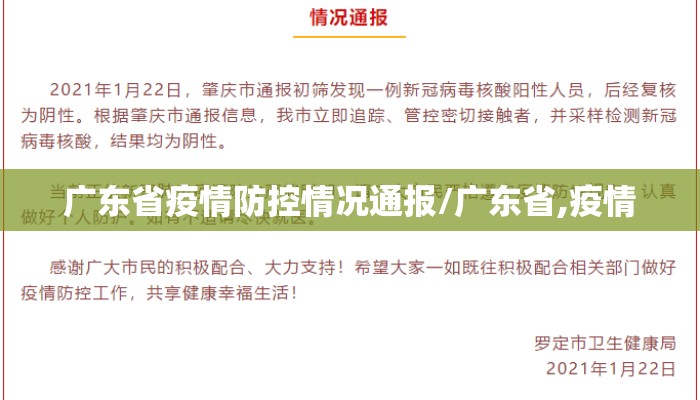 广东省疫情防控情况通报/广东省,疫情 广东省疫情防控情况通报/广东省,疫情