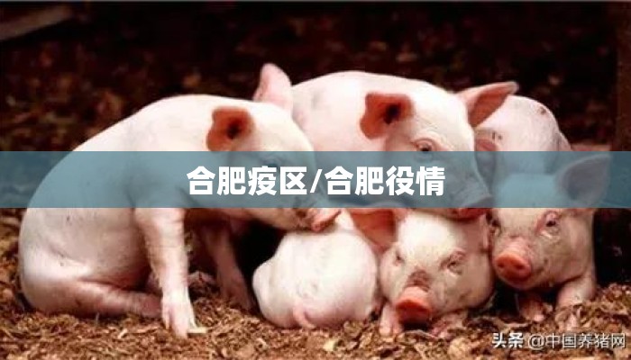 合肥疫区/合肥役情