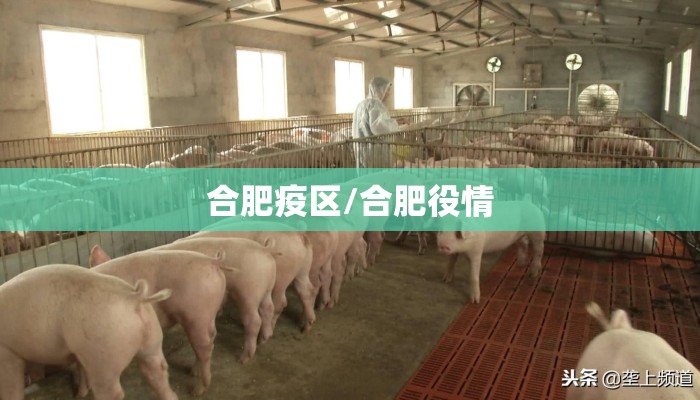 合肥疫区/合肥役情 合肥疫区/合肥役情