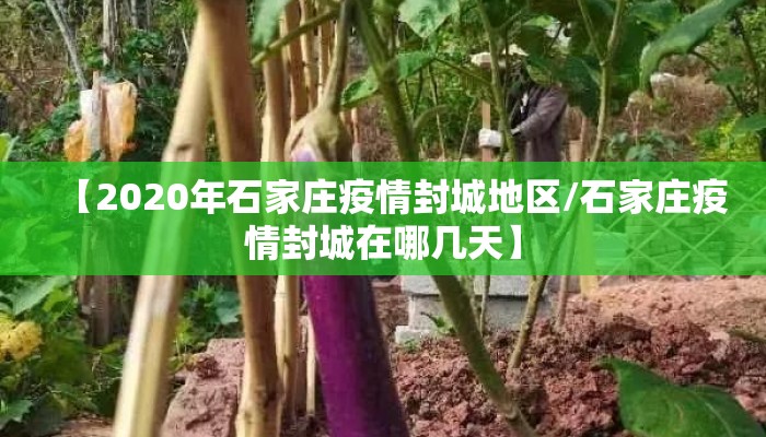 【2020年石家庄疫情封城地区/石家庄疫情封城在哪几天】 【2020年石家庄疫情封城地区/石家庄疫情封城在哪几天】