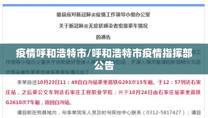 疫情呼和浩特市/呼和浩特市疫情指挥部公告