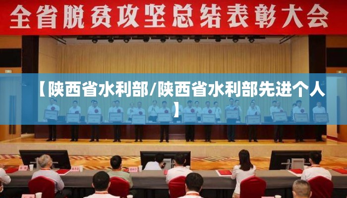【陕西省水利部/陕西省水利部先进个人】 【陕西省水利部/陕西省水利部先进个人】