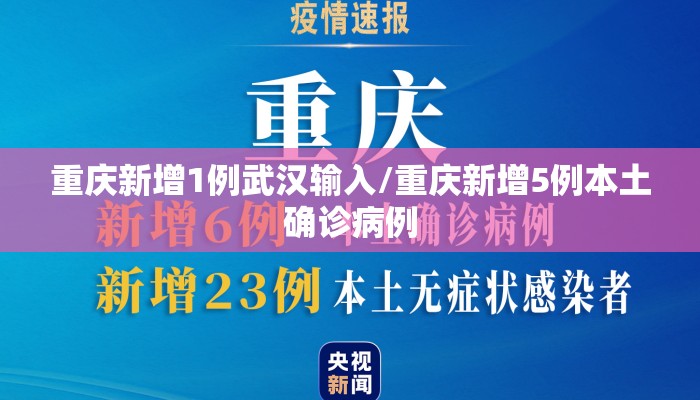 重庆新增1例武汉输入/重庆新增5例本土确诊病例