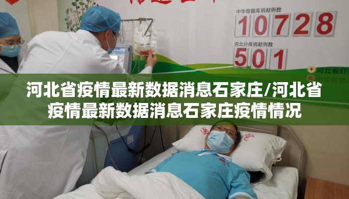 河北省疫情最新数据消息石家庄/河北省疫情最新数据消息石家庄疫情情况 河北省疫情最新数据消息石家庄/河北省疫情最新数据消息石家庄疫情情况