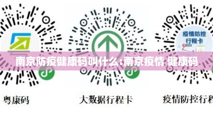 南京防疫健康码叫什么:南京疫情 健康码
