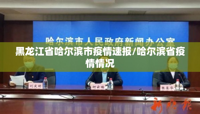 黑龙江省哈尔滨市疫情速报/哈尔滨省疫情情况